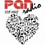 Pan Radio 103.0 | Station Logo