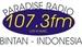 Paradise Radio | Station Logo