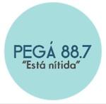 Pegá 88.7 FM | Station Logo