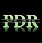 Pegadera Digital Radio | Station Logo