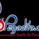 Pegadita.com | Station Logo