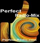 Perfect Radio - The Mix | Station Logo