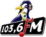 Radio Pinguin FM | Station Logo