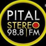 Pital Stereo 98.8 FM | Station Logo