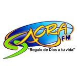 Sacra 88.5 FM Metro - WLUZ | Station Logo