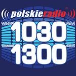 Polskie Radio - WRKL | Station Logo