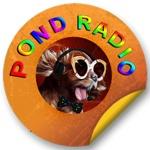 Ciao World Radio | Station Logo