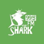 Guam Shark - KZGU | Station Logo