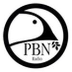 Praise Broadcast Network | Station Logo