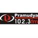 Radio Pramudya | Station Logo