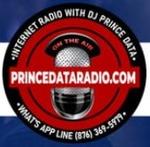 Prince Data Radio | Station Logo