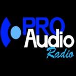 Pro Audio - Back In Times | Station Logo