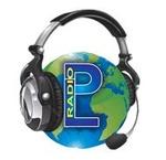 Punjabi Link Radio | Station Logo