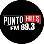 Punto Hits Fm 98.3 | Station Logo