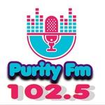 Purity FM Awka | Station Logo