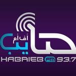 حبايب اف ام | Station Logo