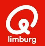 Q-Music Limburg | Station Logo