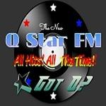 Q Star FM | Station Logo