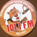 RADIO ENCANTO FM 101.1 | Station Logo