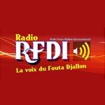 Radio Fouta Djallon Internationale (RFDI) | Station Logo