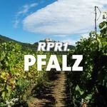 RPR1. Pfalz | Station Logo