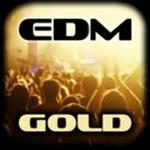 R-DIO - EDM GOLD | Station Logo