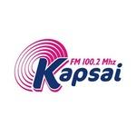 Radijo Stotis Kapsai | Station Logo