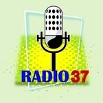 Radio 37 General Pico | Station Logo