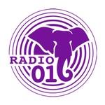 Radio 016 | Station Logo