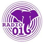 Naxi Radio 016 | Station Logo