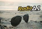 Radio A1 88.7 FM | Station Logo