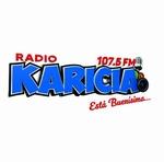 Radio Karicia Tarapoto | Station Logo