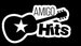 Radio AmigoHits