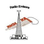 Radio Andina 100.1 | Station Logo