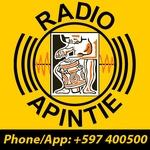 Apintie Radio | Station Logo