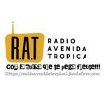 Radio Avenida Tropical | Station Logo