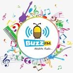 BUZZ FM Lahore | Station Logo