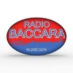 Radio Baccara Nijmegen | Station Logo