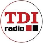 TDI Radio Kragujevac | Station Logo