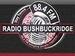 Radio Bushbuckridge | Station Logo