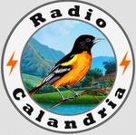 Radio Calandria | Station Logo