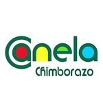 Radio Canela Chimborazo | Station Logo