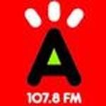 Radio Cima | Station Logo