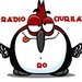 Radio Station logo