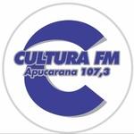 Rádio Cultura Apucarana | Station Logo