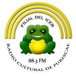 Radio Cultural de Puriscal | Station Logo