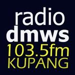 DMWS 103.5 FM KUPANG | Station Logo