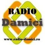 Radio Damici | Station Logo