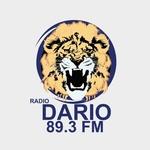 Radio Dario 89.3 | Station Logo