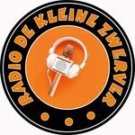 Radio Station logo